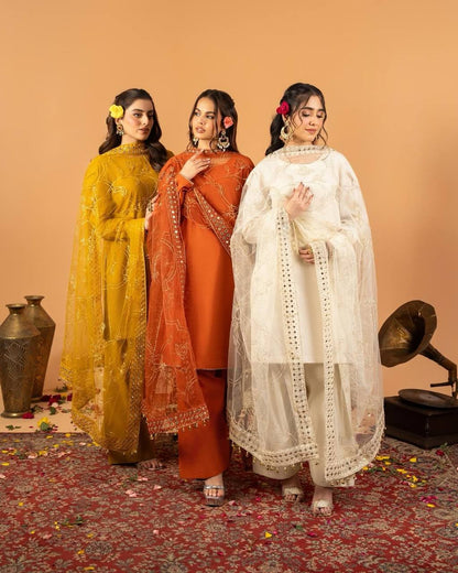 Binaya Evil Eye Embroidered Farshi Salwar Set