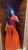 Tanu Celestial Zari Elegance Sharara Set