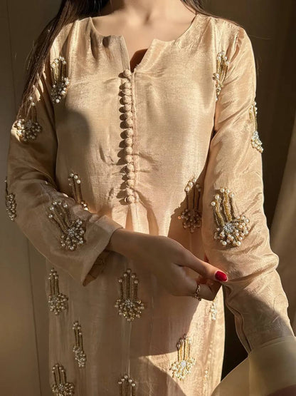Diya's Real Bids And Moti Hand Work Suit